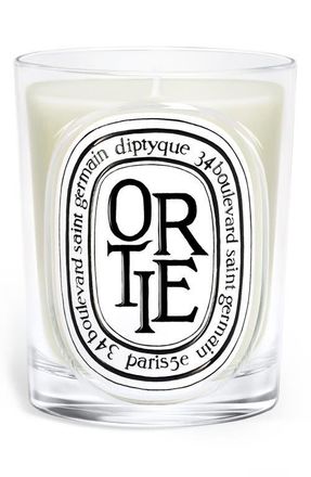 Diptyque Ortie (Nettle) Classic Candle at Nordstrom