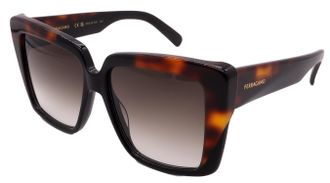 Ferragamo Sunglasses SF1060SN-006-55-14-140 Non-Polarized