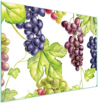 OEM Placa Protectora De Vidrio Para Estufa 70x52 Fruta