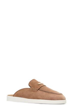 Aquatalia Weller Weatherproof Mule in Clay Suede at Nordstrom, Size 10.5