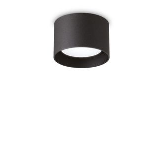 Netlighting Spike Round Surface Mounted Downlight Black
