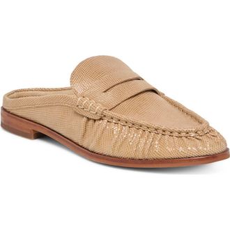 Dolce Vita Betzy Mule in Latte Embossed Suede at Nordstrom, Size 9.5