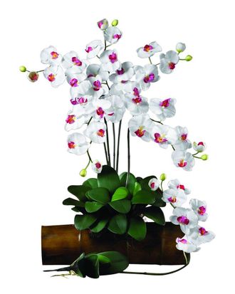 Nearly Natural Set Of 6 Phalaenopsis Stems