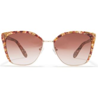 Bcbgmaxazria 56mm Cat Eye Sunglasses in Pearl Gold/Berry at Nordstrom Rack