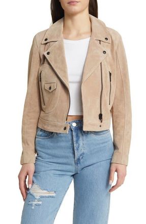 Blank NYC Suede Moto Jacket in Cold Foam at Nordstrom, Size Small