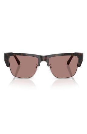 Ferrari 55mm Square Sunglasses in Havana Burgundy /Brown at Nordstrom