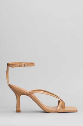 Carrano Sandals Color