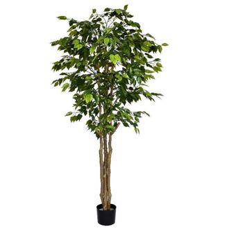 Leaf Artificial Ficus Tree With 1134 Leaves 180cm Fire Retardant Deluxe Retusa in Green