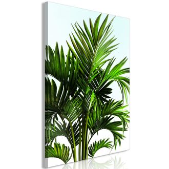 OEM Immagine - Vacanze In Tunisia (1 Parte) Verticale