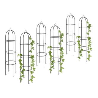 Relaxdays 6 Soportes Plantas Revestimiento Metal 190 Cm, Gu&iacute;a Rosas Resistente Intemperie, Para Rosales Y Flores, Verde