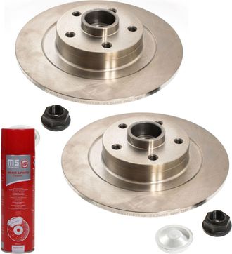 OEM Discos De Freno Traseros Con Rodamiento 2401110173b-pcs-ms 2 Unidades