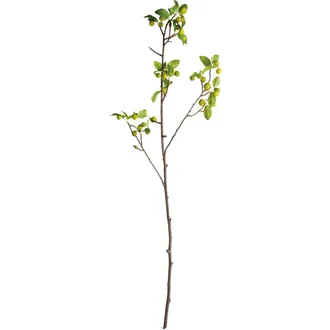 Napa Home & Garden Crabapple Green Plastic Branches 45 Set of 2 at Nordstrom