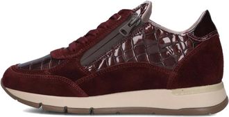 DL Sport Schoenen, Dames, Bruin, 42 EU, Lage sneaker 7118