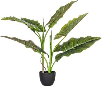BIZZOTTO Bizzotto - Dieffenbachia En Maceta 7 Hojas