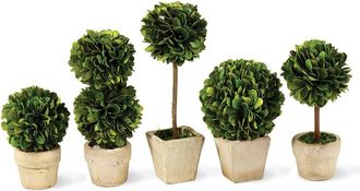 Napa Home & Garden Boxwood Mini Faux (Fake) Topiaries In Pots Set of 5 in Green at Nordstrom