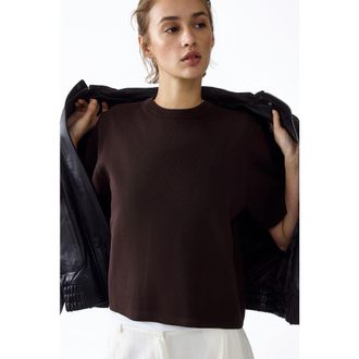 H&M Knit t-shirt in Dark Brown at Nordstrom, Size Xx-Large