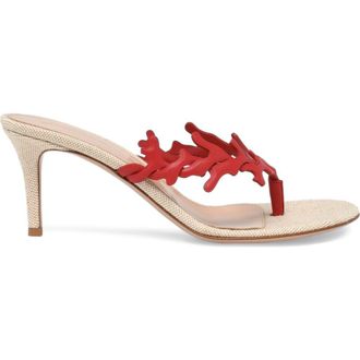 Gianvito Rossi Ocean Thong Sandal in Red Nappa at Nordstrom, Size 40.5