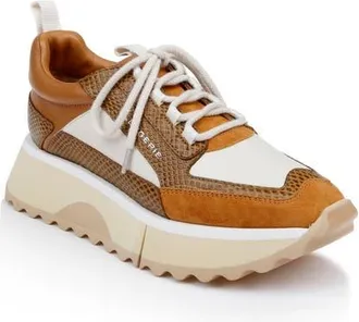 Robert Clergerie Opus Leather Sneaker in Wood Whips at Nordstrom, Size 8.5Us