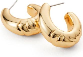 JENNY BIRD Nelle Slim Hoop Earrings in High Polish Gold at Nordstrom