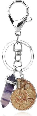Generic Natural Ammonite Fossil Spiral & Fluorite stone Geology Keychain/Keyring with Silver Finish (Purple Stone)