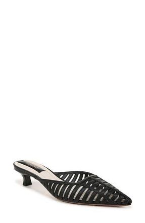Franco Sarto Marline Pointed Toe Kitten Heel Pump in Black at Nordstrom Rack, Size 6.5