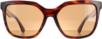 Serengeti Eyewear Square Shiny Tortoise Saturn Polarized Drivers Wakota