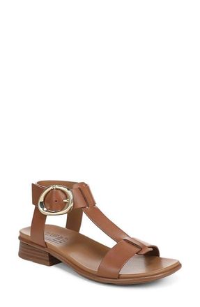 Naturalizer Brandy T-Strap Sandal in English Tea Brown at Nordstrom, Size 8.5