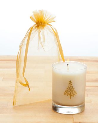 Xela Aroma Tree 14Oz Winter Pine Candle