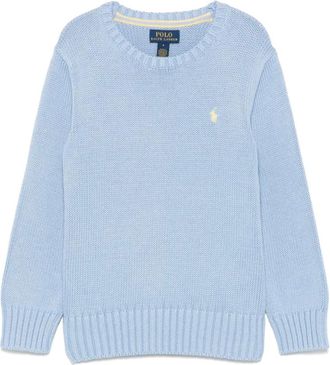 Ralph Lauren Heren, Truien, Blauw, Maat: S