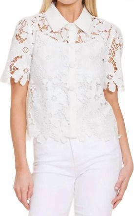 Dolce Cabo Lace Collared Shirt In White