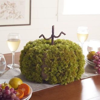 Safavieh Faux 15 Moss Pumpkin