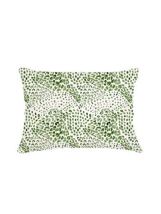 Anaya with Love Green Cheetah Velvet Pillow with Down Alternative Insert at Nordstrom, Size 26X26