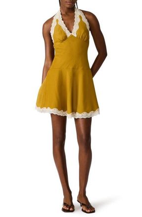 Steve Madden Liza Lace Halter Minidress in Thyme Green at Nordstrom, Size X-Small