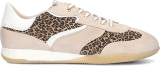 DL Sport Schoenen, Dames, Veelkleurig, 41 EU, Su&egrave;de, Beige Su&egrave;de Lage Sneakers voor Dames