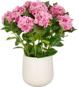 Creativ Green Kunstpflanze