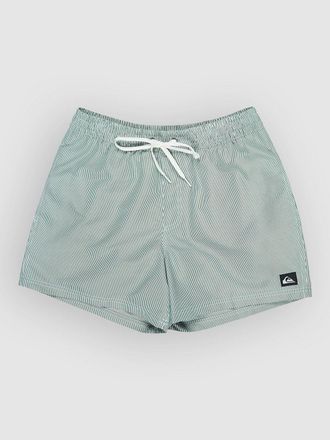 Quiksilver Everyday Deluxe Volley 15 Boardshorts groen