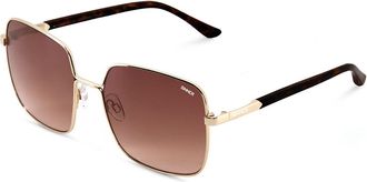 Sinner Madiki SISU-882-40-30 Womens Sunglasses Gold Size Standard
