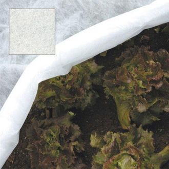 Papillon Papillon Malla Protectora Para Plantas (1,6x 250 Metros), Malla Protectora Para Plantas- Rollo: 1.6 X 250 M.- Gramaje: 17 Gr. / M&sup2;- Fibra De Polipropi