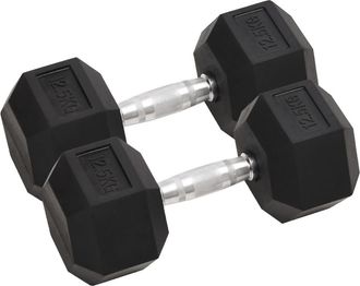vidaXL Mancuernas 2 Unidades Total Hierro Fundido 12,5 Kg Vidaxl