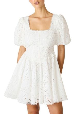 Steve Madden Briana Eyelet Embroidery Minidress in Antique at Nordstrom, Size 12