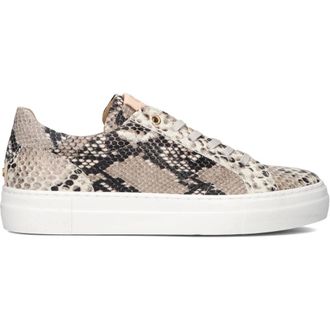 Fred De La Bretoniere Schoenen, Dames, Veelkleurig, 40 EU, Storm Isa Lage Sneakers