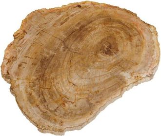 Chehoma Bandeja de madera beige