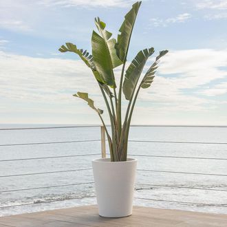 OEM Gerbera 50 R&uacute;stica Macetero Redondo De Interior Y Exterior Para Plantas Y Flores Muy Resistente Al Paso Del Tiempo. Hecho De Polietileno En Espa&ntilde;a - B