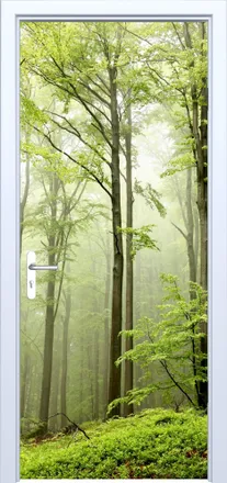 OEM Adhesivo De Tela Para Puerta Bosque Verde 877pd