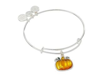 Alex and Ani Pumpkin Womens Bracelet Womens Bracelet Shiny Silver