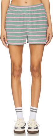 Beach Riot Rayah Short In Sage Bloom Stripe