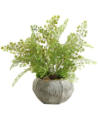 D&W Silks Flat Iron Fern In Concrete Bowl