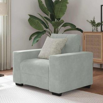 vidaXL Sill&oacute;n Sof&aacute; Gris Claro 60 Cm Terciopelo Vidaxl