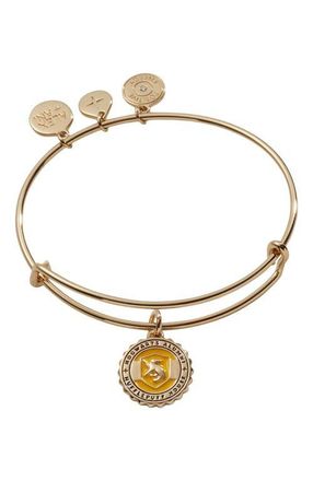 Alex and Ani Harry Potter Hufflepuff House Charm Bangle Bracelet in Gold at Nordstrom