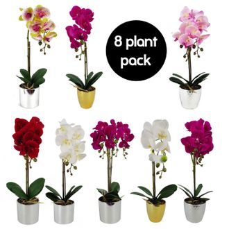 Leaf Pack of 8 Artificial Orchids in Silver Pots in Green